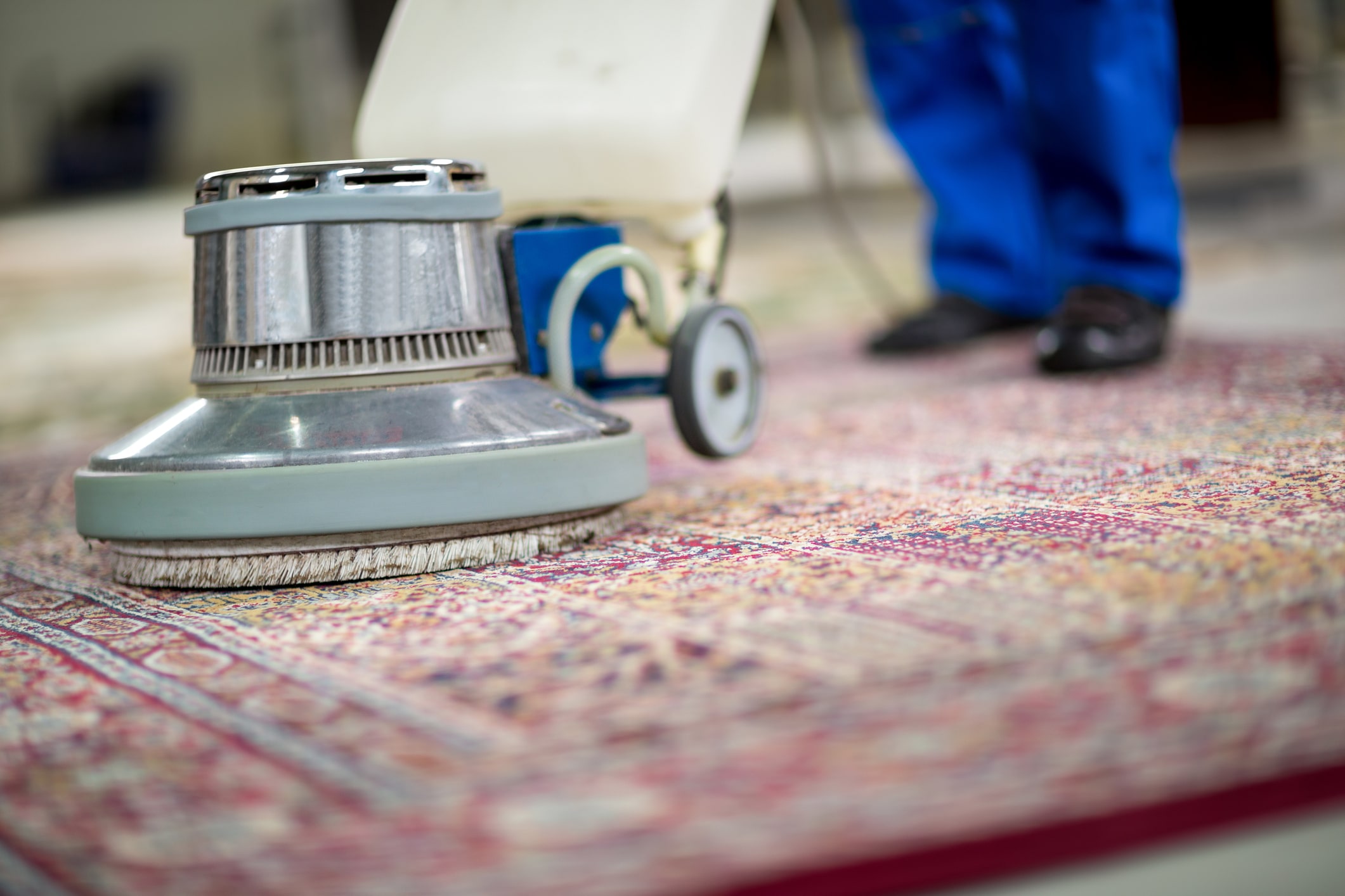 Area Oriental Rug Cleaning