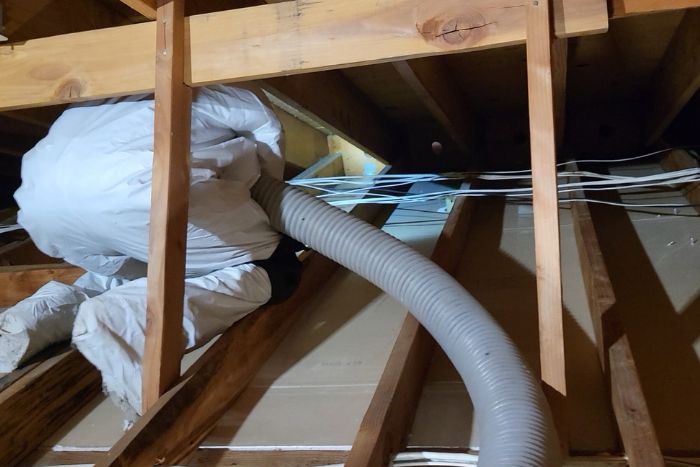 The Ultimate Guide to Attic Cleaning and Insulation: Boost Home Health & Save Money